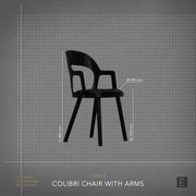Colibri Dining Chair with Arms - Black + Black